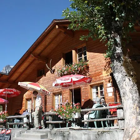 Steinbock * Kandersteg